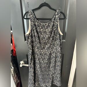 White House Black Market Black and Cream Lace Cocktail Dress
